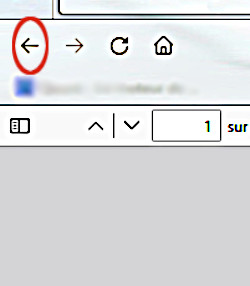 visualisation fichier pdf retour arrière