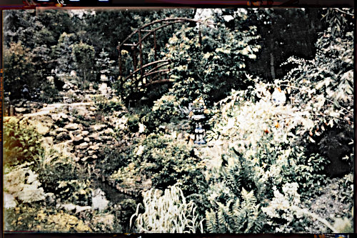 jardin japonnais du docteur Albert Marçais